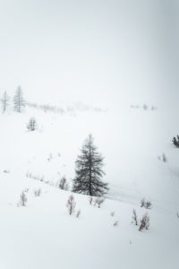 כארז בלבנון